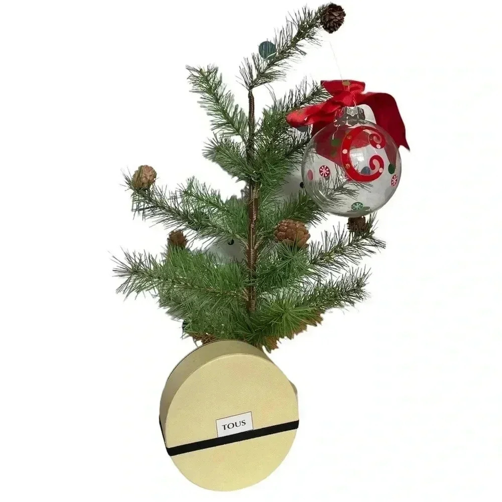 Tous‎ Large Gift Box